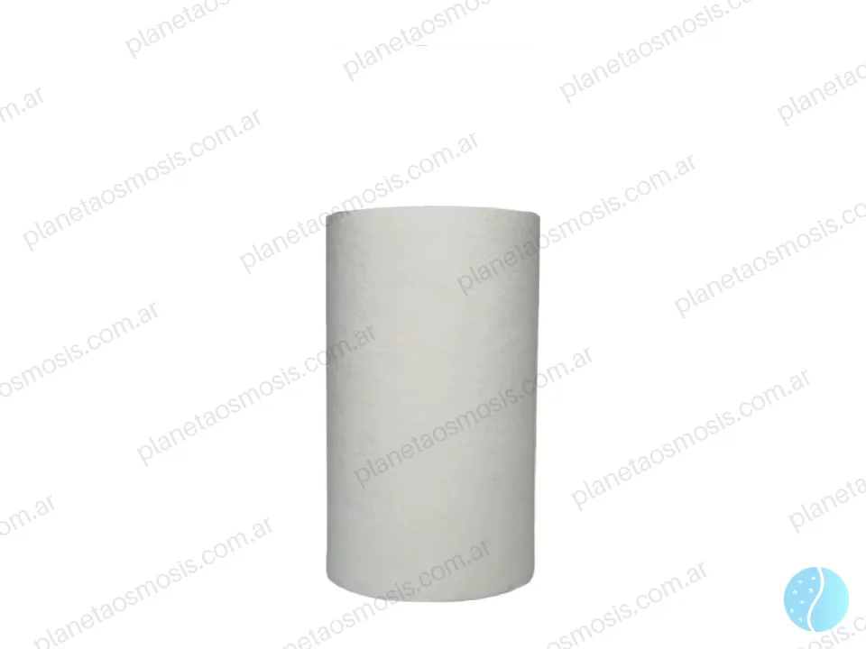 Repuesto Big Blue PP 10" 5 µm