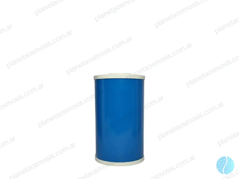 Repuesto Big Blue CAG 10"
